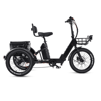 Viribus FC1 Folding Electric Tricycle