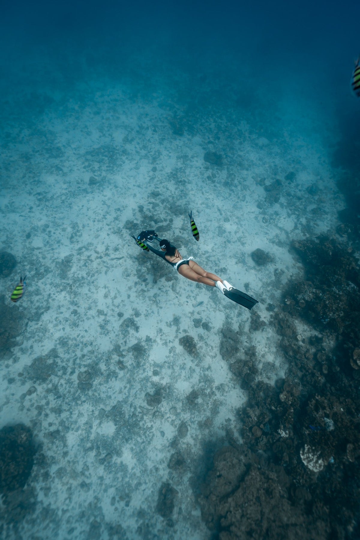 Sublue Navbow Underwater Scooter — 131 ft Depth, OLED Display