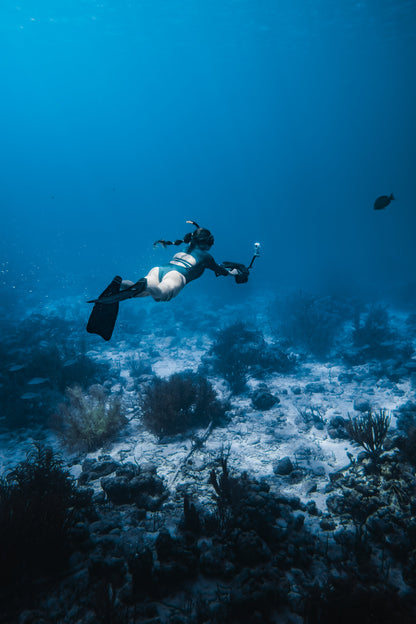 Sublue Navbow+ Underwater Scooter — OLED Display, Action-Cam Mount