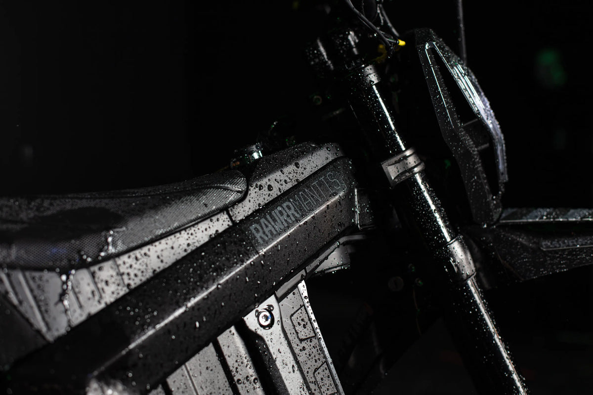 Rawrr Mantis X Electric Dirt Bike — 72V, 50 MPH, 139 lb eMoto